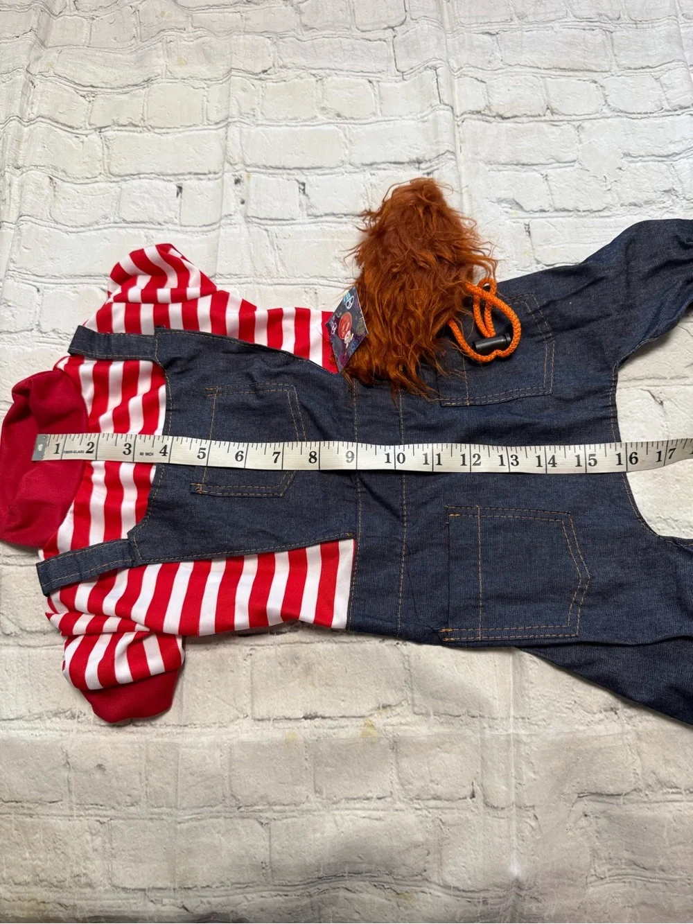 Pet Warrior Dog /Cat FREDDY KRUEGER Custom . Halloween costume.